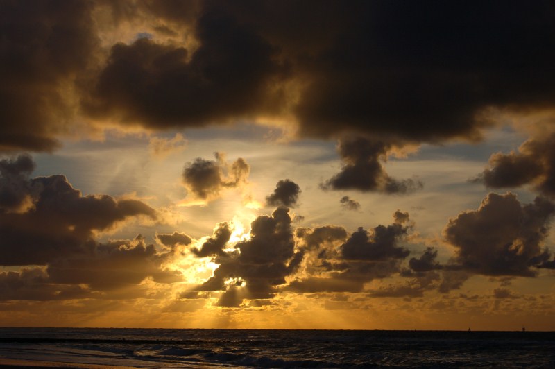 Xerus en Zaza op Vlieland (10).jpg